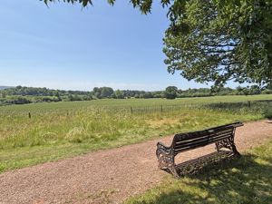 Photo 4- click for photo gallery